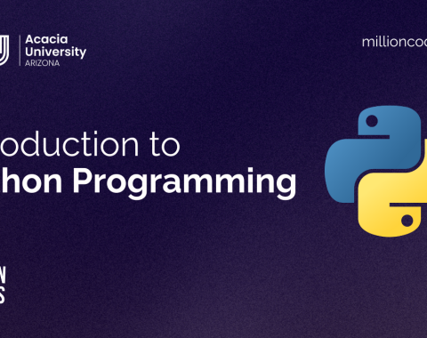 Introduction to Python Programming